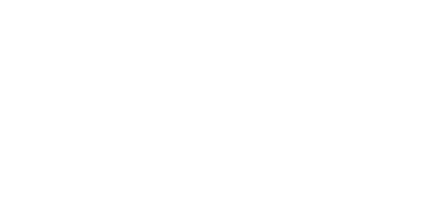 NIC-S logo